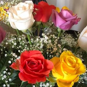 Meet your Posher, Sue